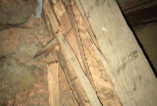 Structural Damage Caused By Previous Termite Infestation